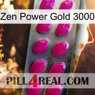 Zen Power Gold 3000 09